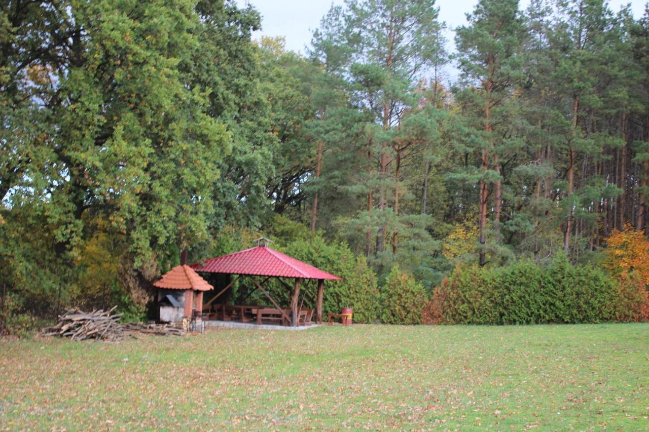 Gospodarstwo Agroturystyczne Agroletnica Swidnica  Luaran gambar