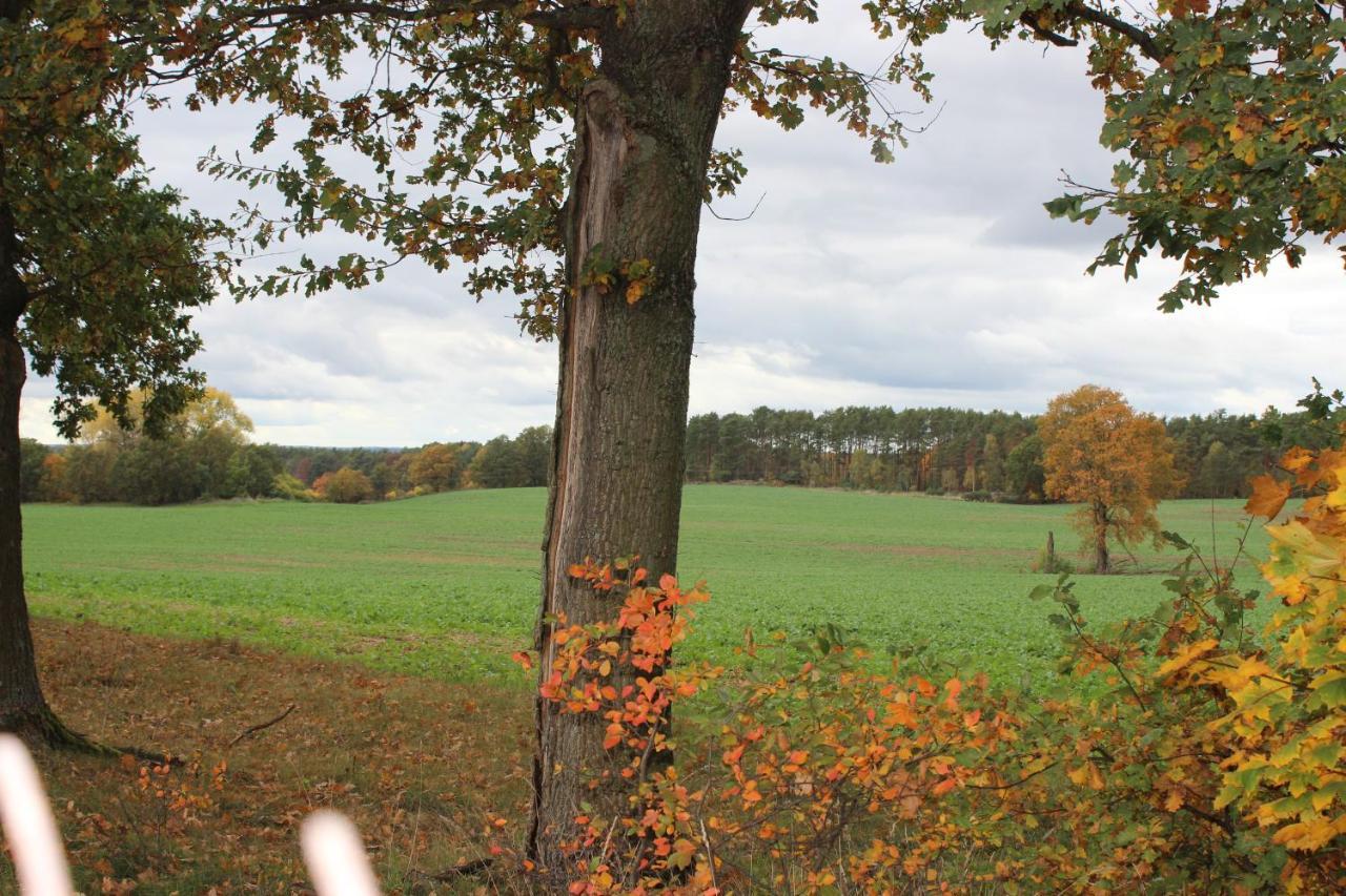 Gospodarstwo Agroturystyczne Agroletnica Swidnica  Luaran gambar