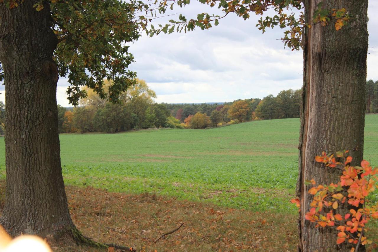 Gospodarstwo Agroturystyczne Agroletnica Swidnica  Luaran gambar