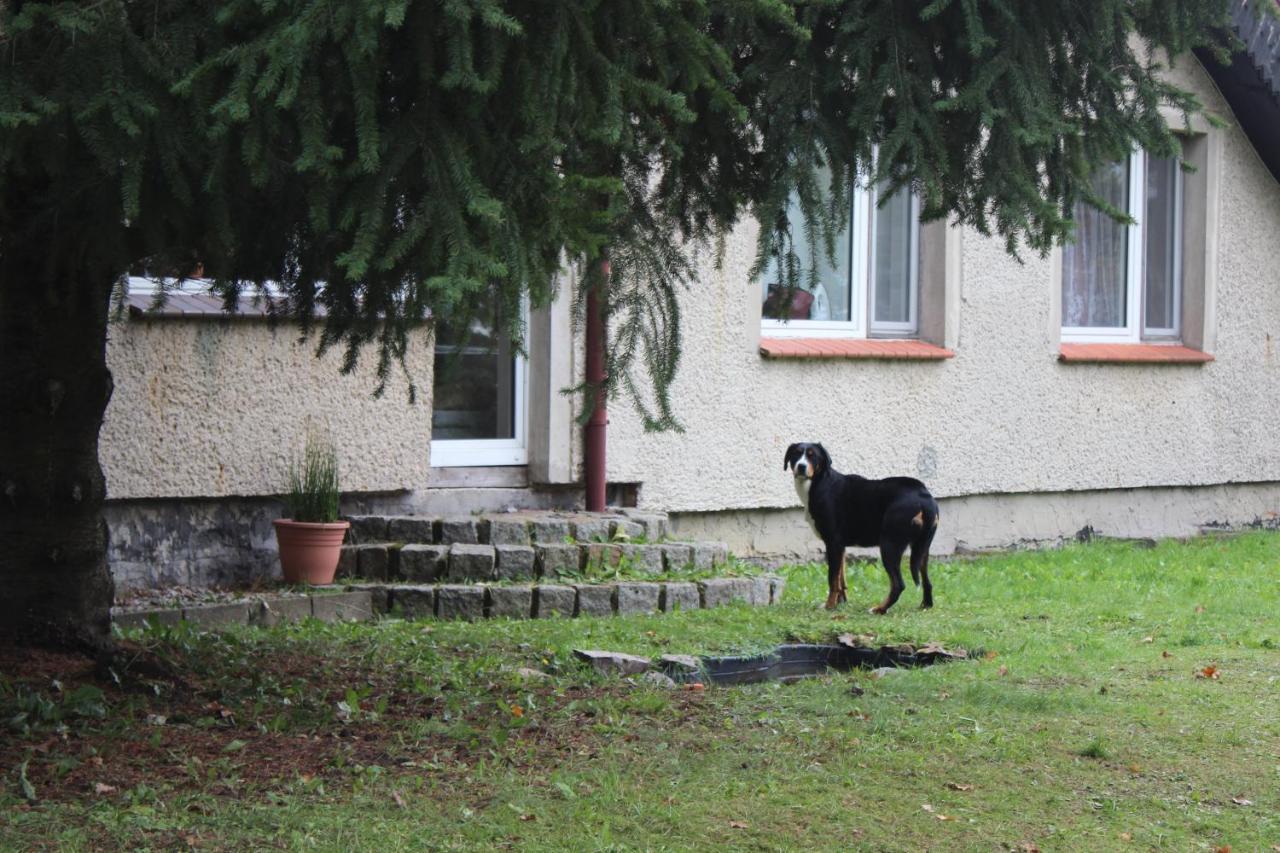 Gospodarstwo Agroturystyczne Agroletnica Swidnica  Luaran gambar