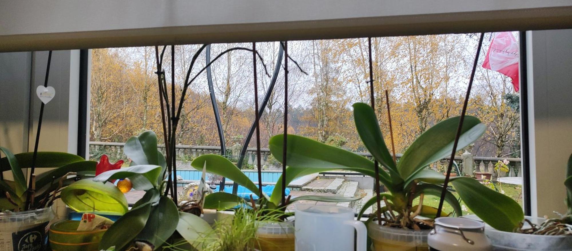 Gospodarstwo Agroturystyczne Agroletnica Swidnica  Luaran gambar