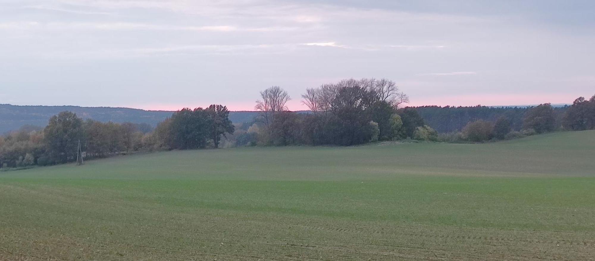Gospodarstwo Agroturystyczne Agroletnica Swidnica  Luaran gambar